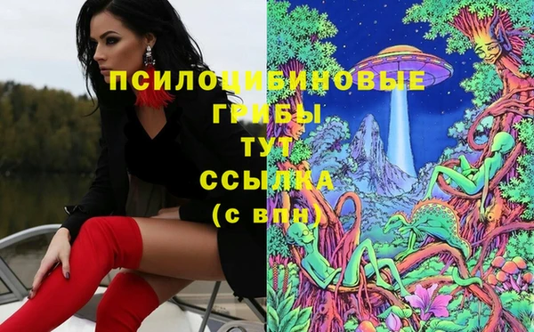 шишки Киреевск