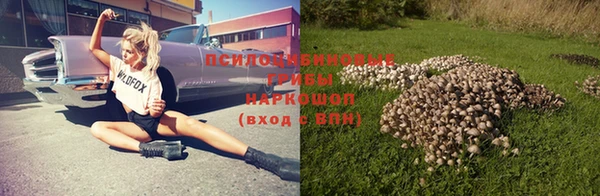 шишки Киреевск
