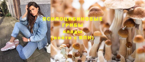 2c-b Киренск