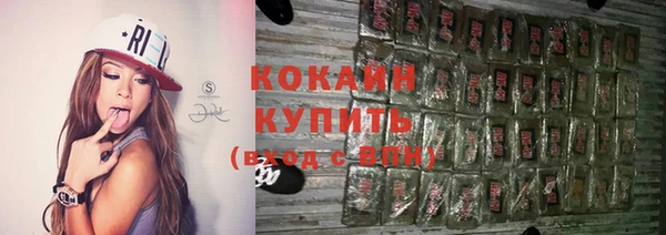 шишки Киреевск