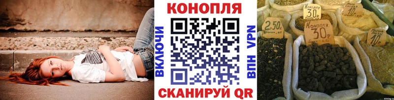 Купить где  Заринск  Бошки Шишки ГИДРОПОН 